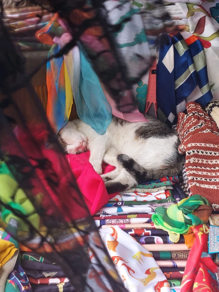 Maral վերբեռնած նկար