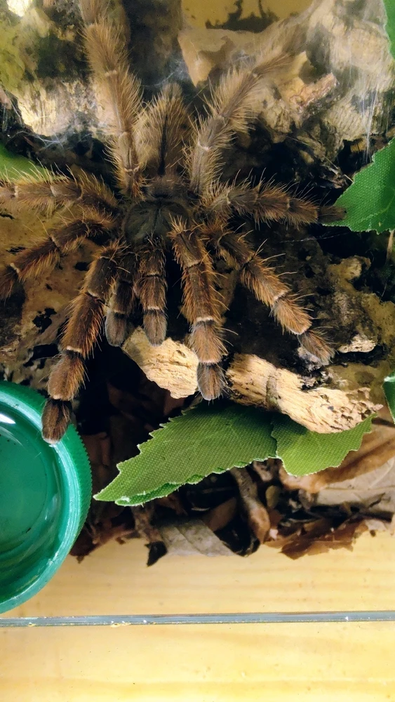 Bild hochgeladen von Niko