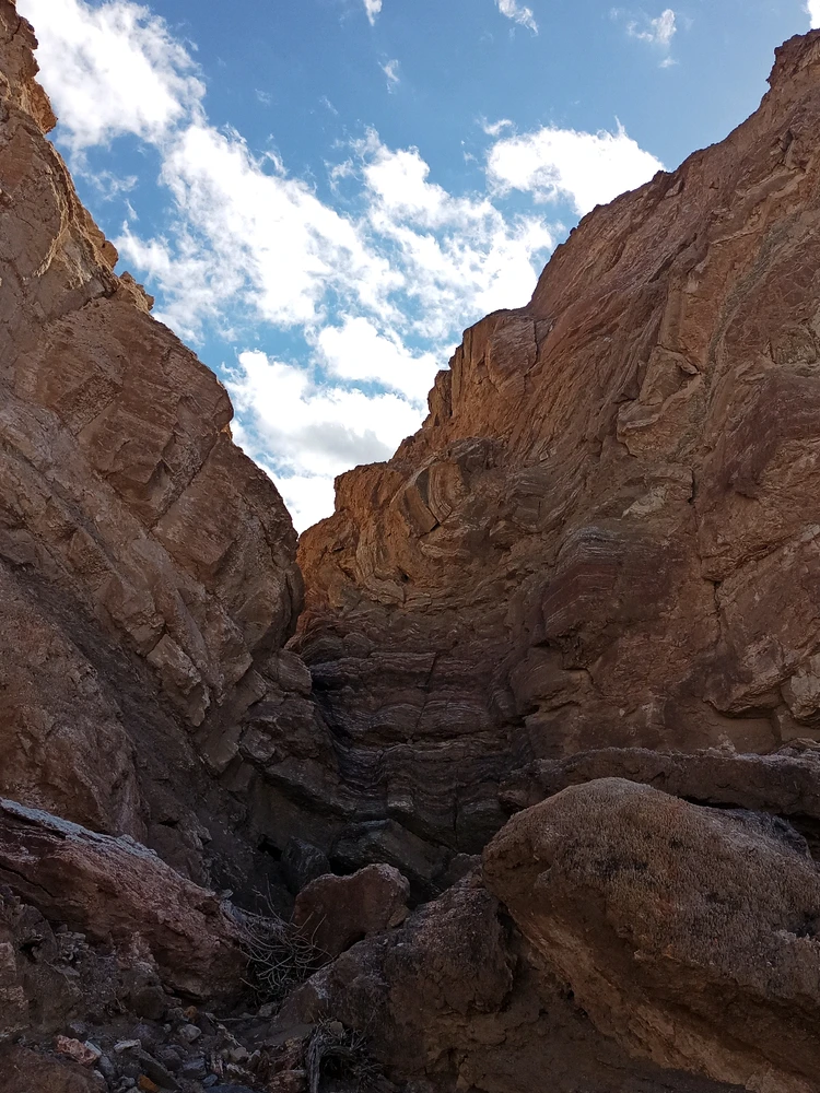 Image uploaded by Tommy
