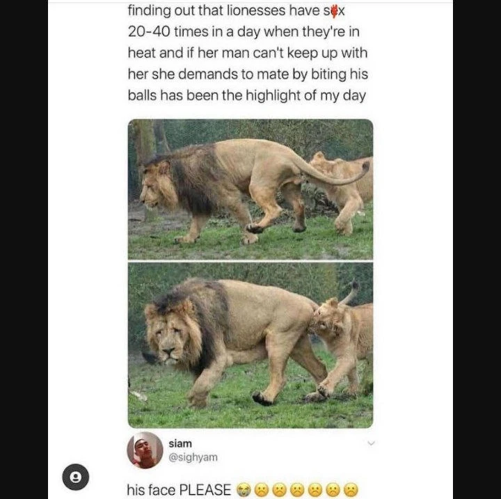 Gi-upload ni Jihas ang hulagway