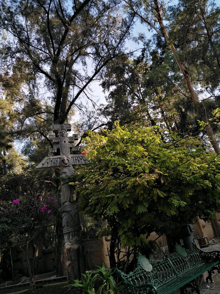 님이 올린 사진