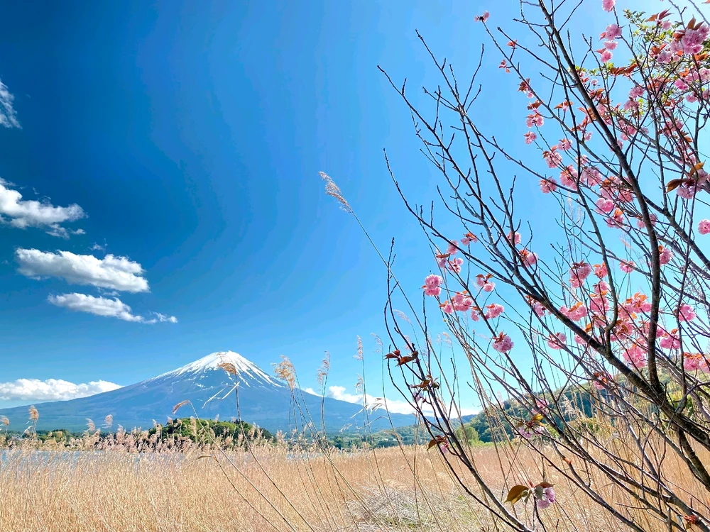 Image uploaded by Reine