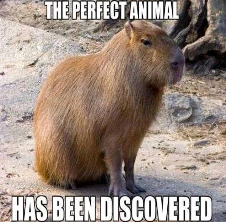 Image uploaded by Rene Diaz (Rey)