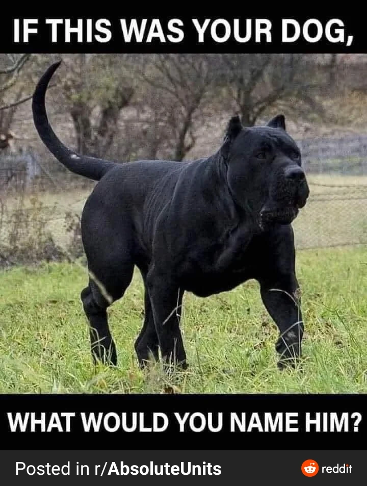 Gambar diunggah dening Roberto