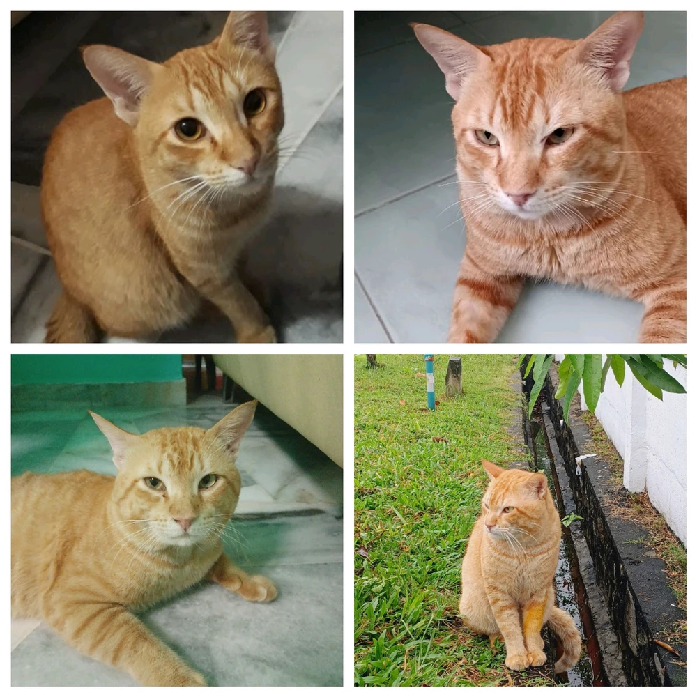 Image uploaded by Elizabeth Reginaldo