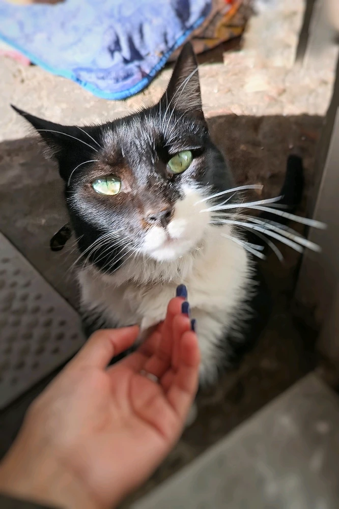 Imagen subida por Jazmín