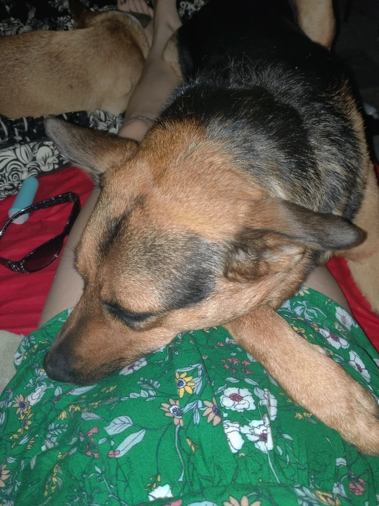 Image uploaded by Jules