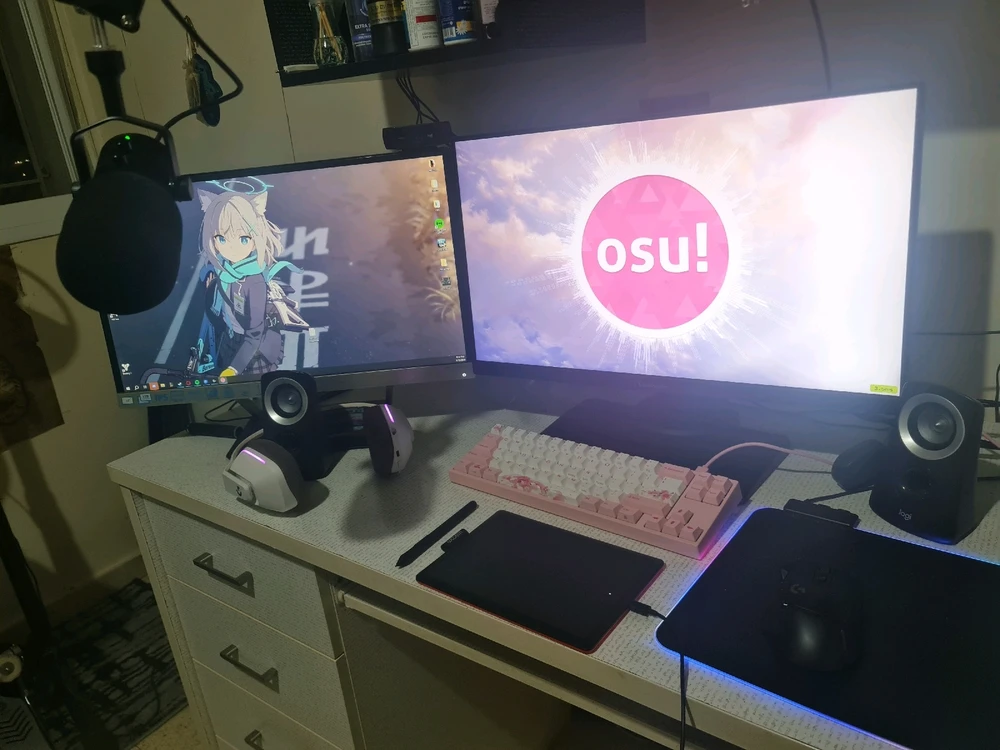 Keyboard: Varmillo x Ducky miya68-d
Mouse: logitech g502x lights peed
Webcam: logitech c922
Headset: Logitech G733
