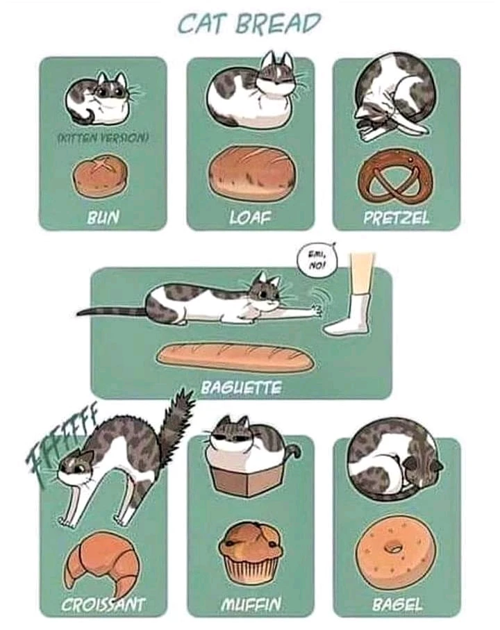 Image uploaded by Nat RB