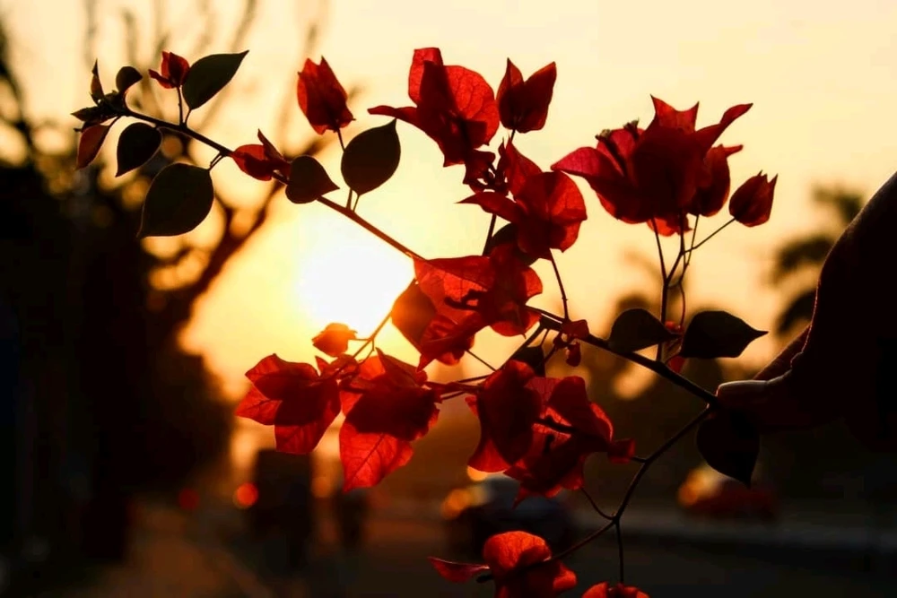 ROKTIM আপলোড করেছে