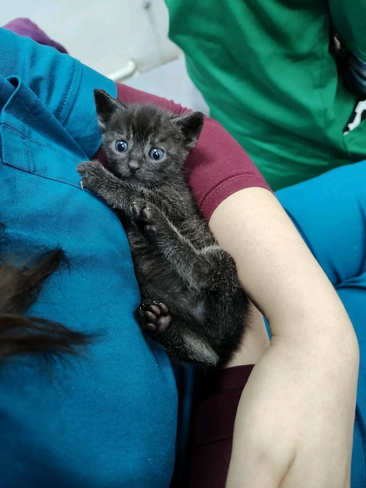 Imagine încărcată de Iulia