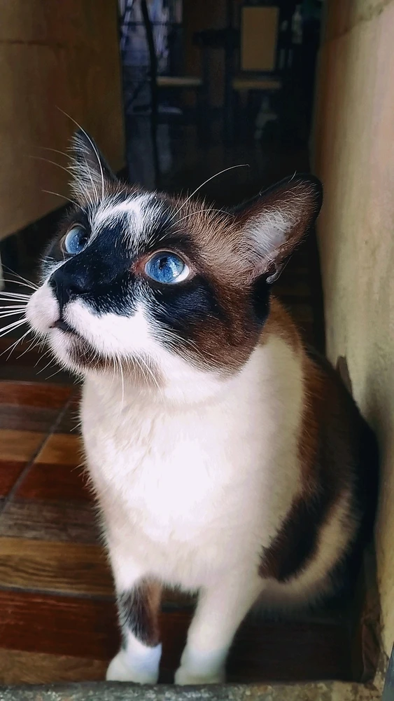 Imagen subida por Gen