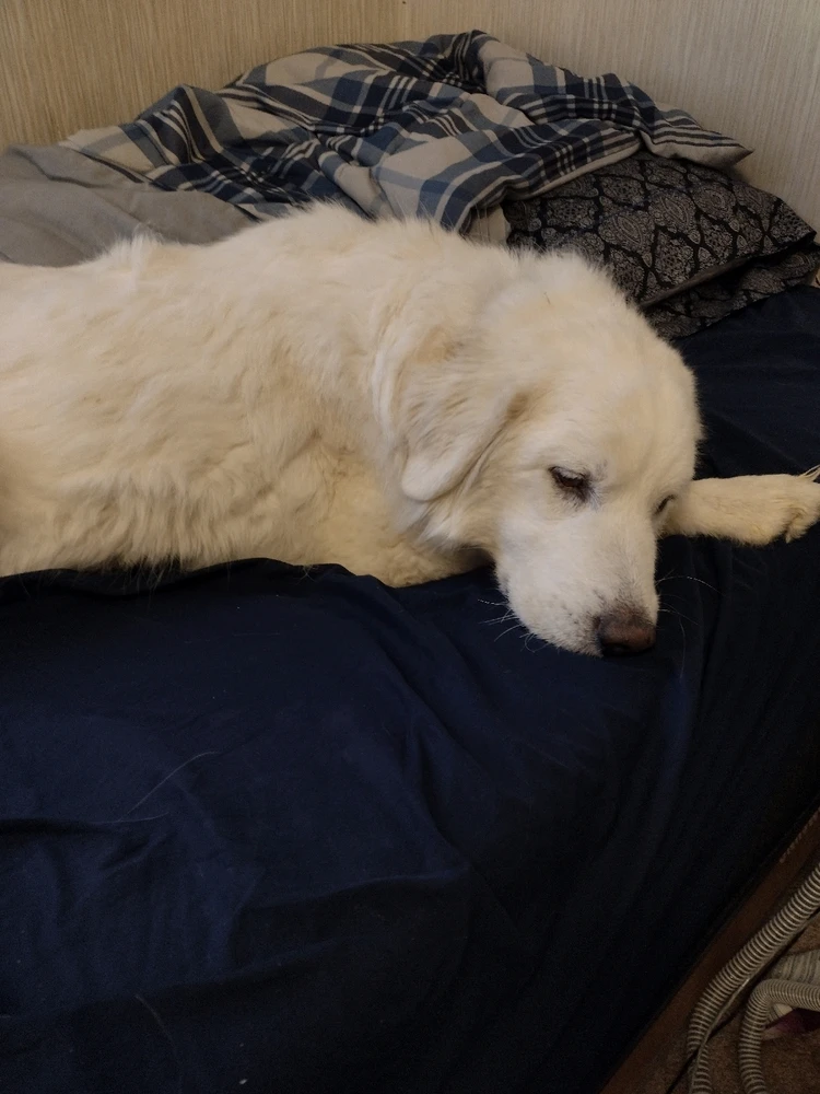 Image uploaded by Mike