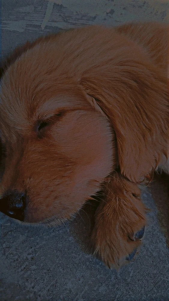 Image uploaded by Kumud