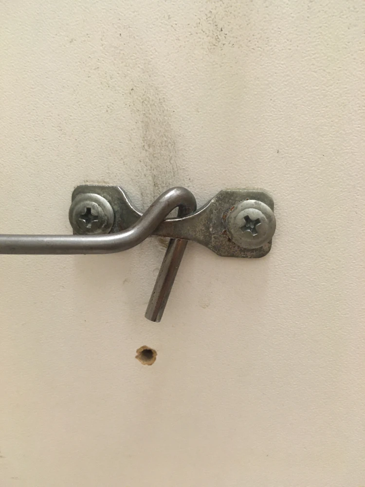 Image uploaded by Anna