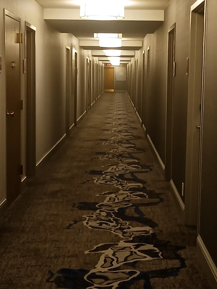 Image uploaded by Tommy