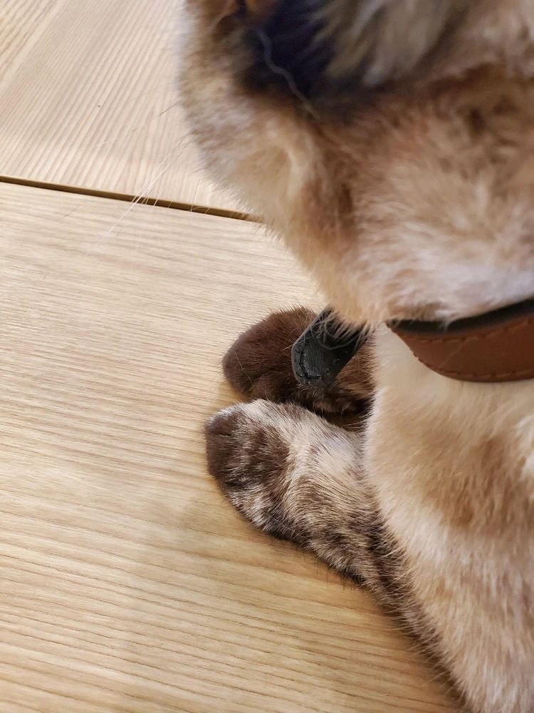 Gloria上傳的圖片