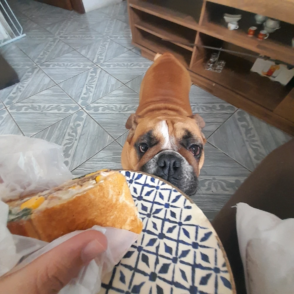 Image uploaded by Jardel