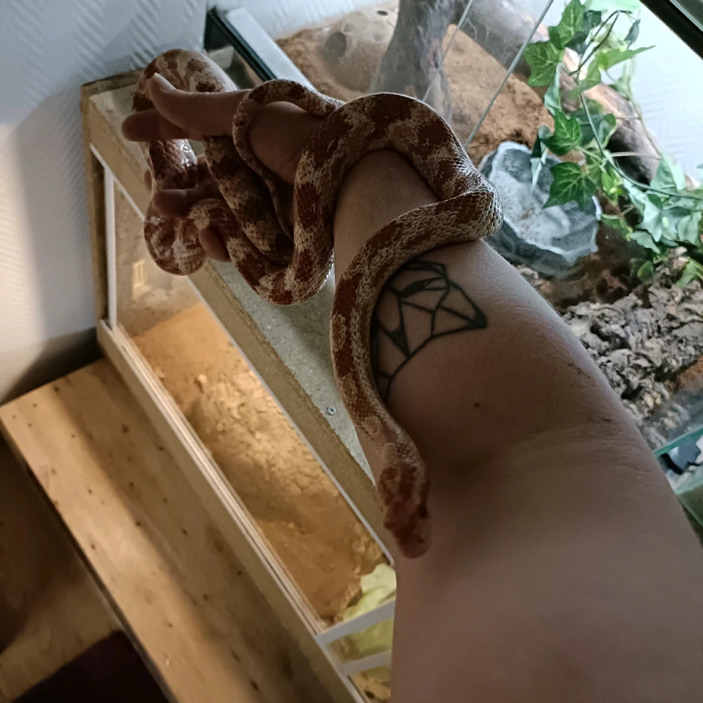 Image ajoutée par Mathieu