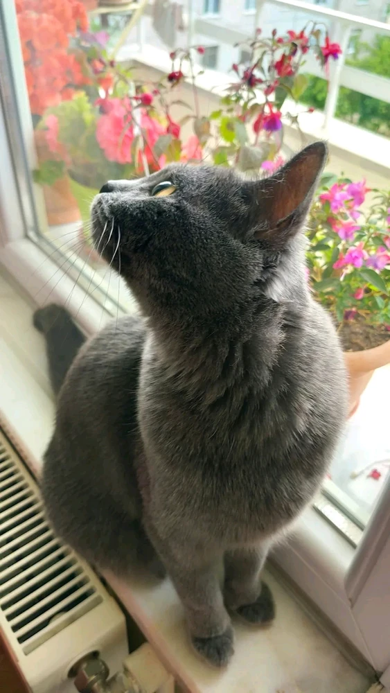 Imagem enviada por Oğuz