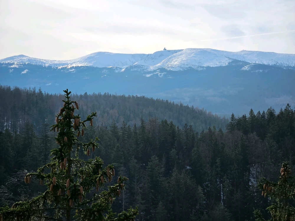 Image uploaded by Konrad