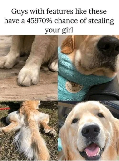 Image uploaded by kanseoo