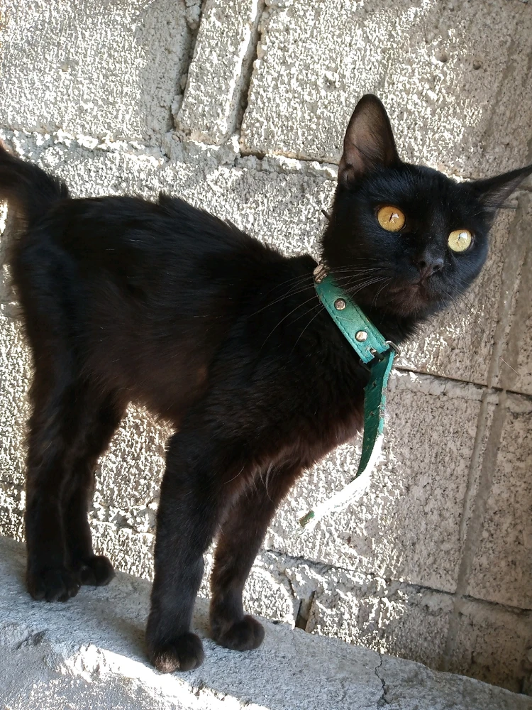 Imagen subida por Nayde