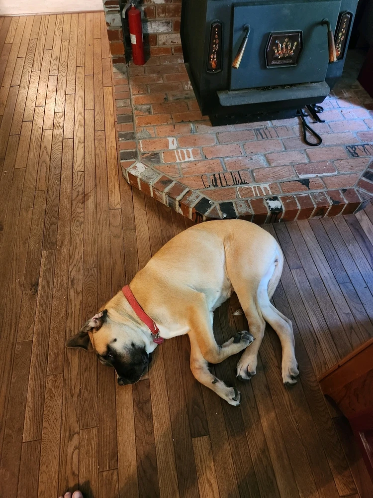 Image uploaded by Josh Minshew