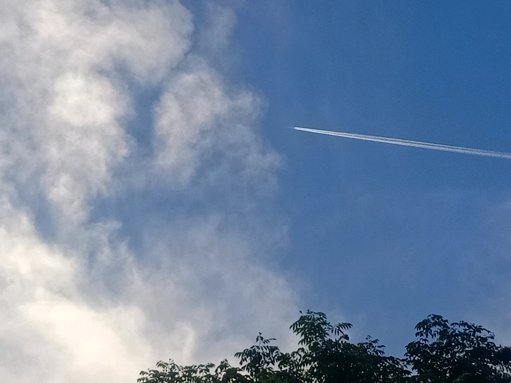 Image uploaded by Rayl