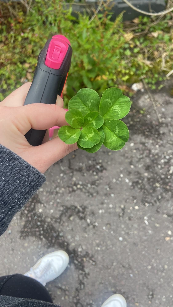 Image uploaded by Klaudia