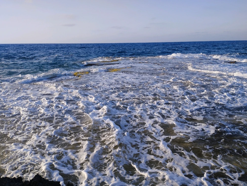 Image uploaded by MK