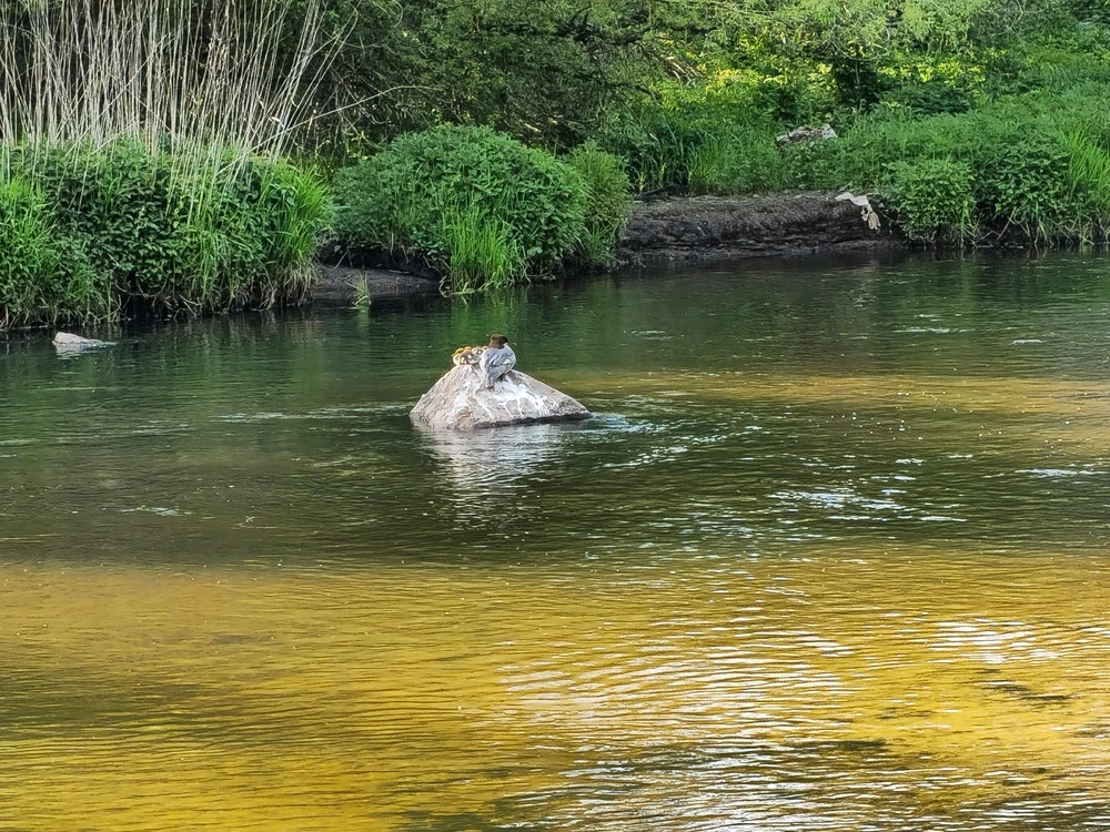Nuotrauką įkėlė Ernestas