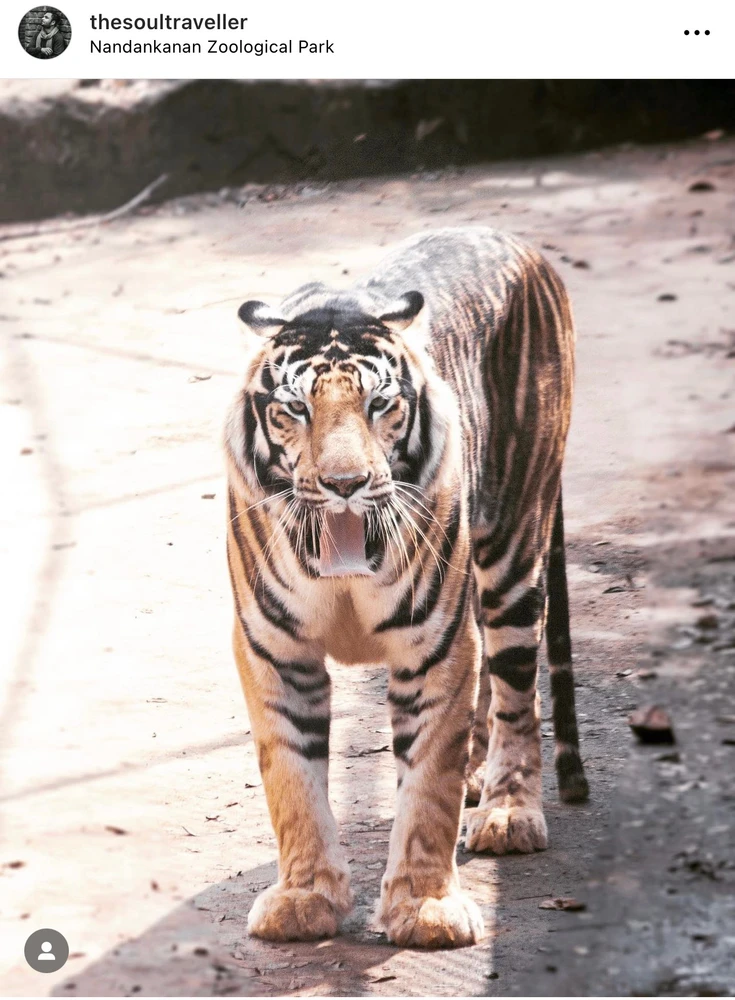 Image uploaded by Bhupendra