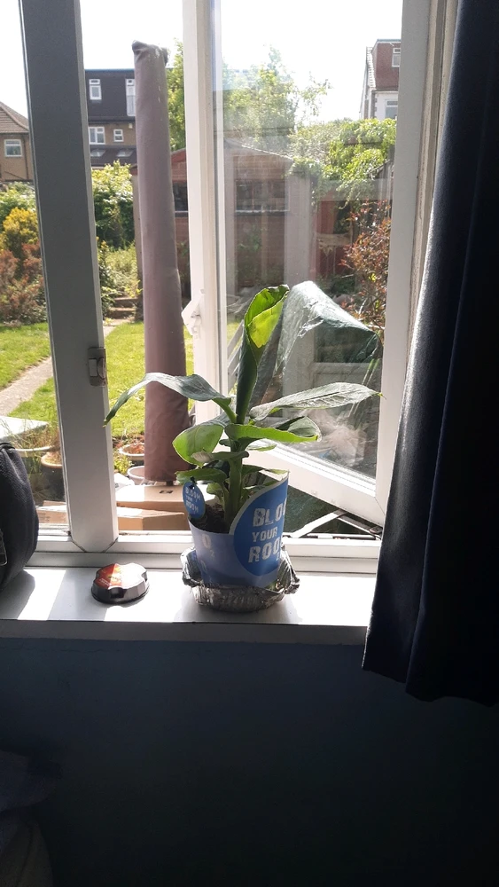 Image uploaded by Lewis White ( the white viking)