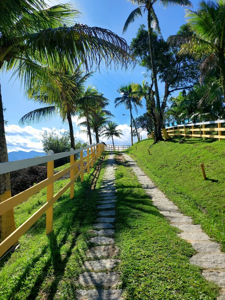 Imagem enviada por Julia