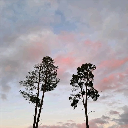 Image uploaded by Yasir