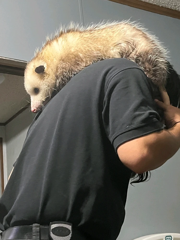 Image uploaded by Juniel