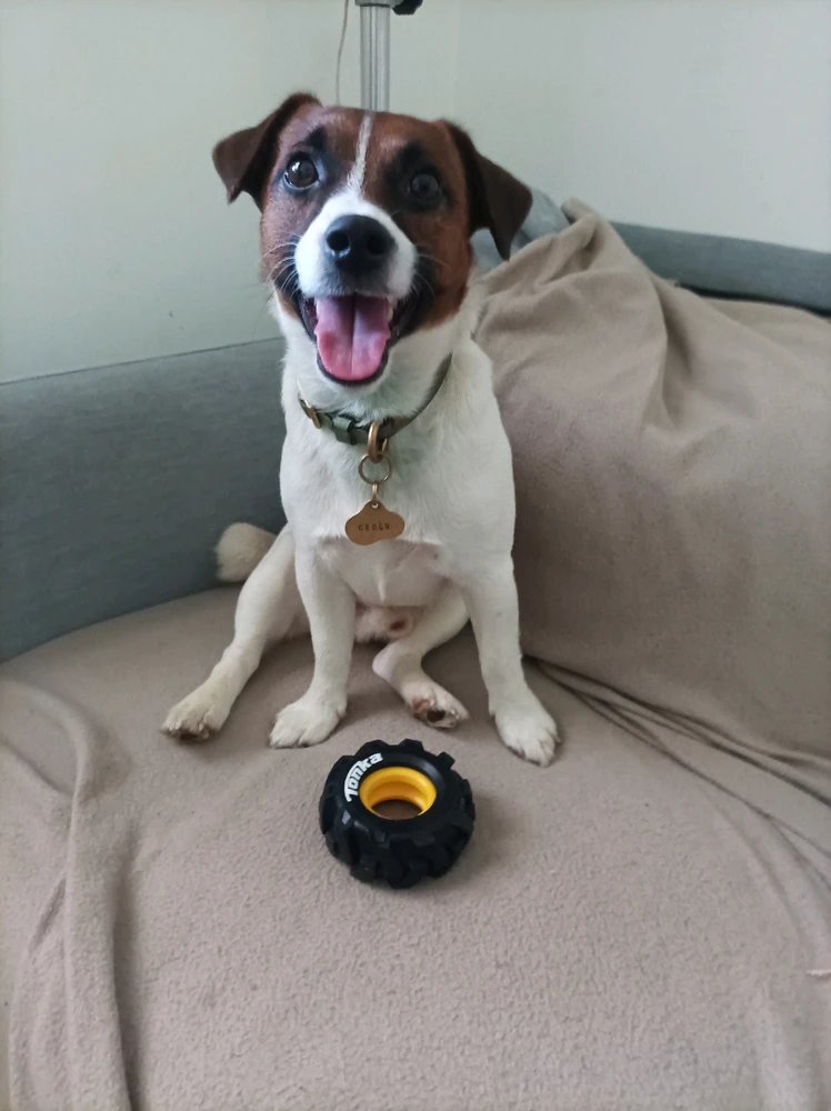 Immagine caricata da Cris