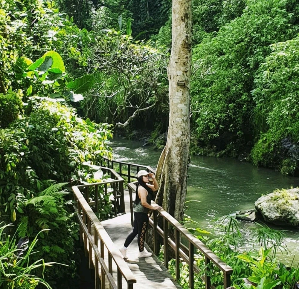 Image uploaded by Honey