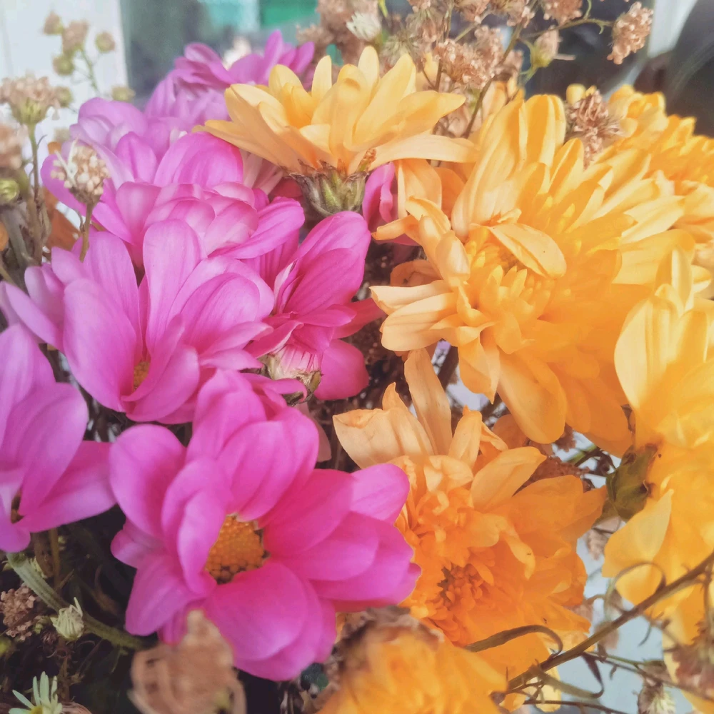 Image uploaded by ItsMe