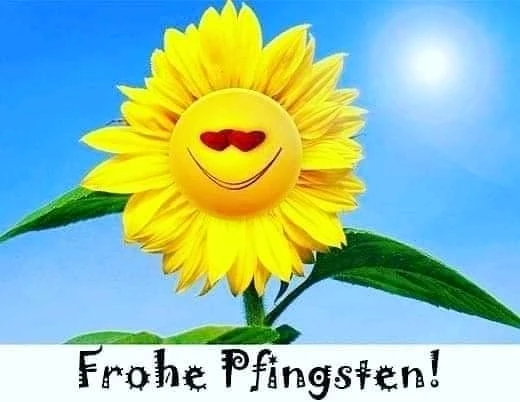 Bild hochgeladen von Sven