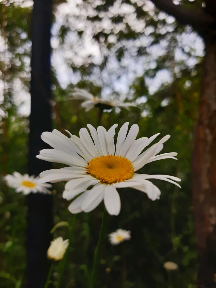 Image uploaded by Наталья / Natalia