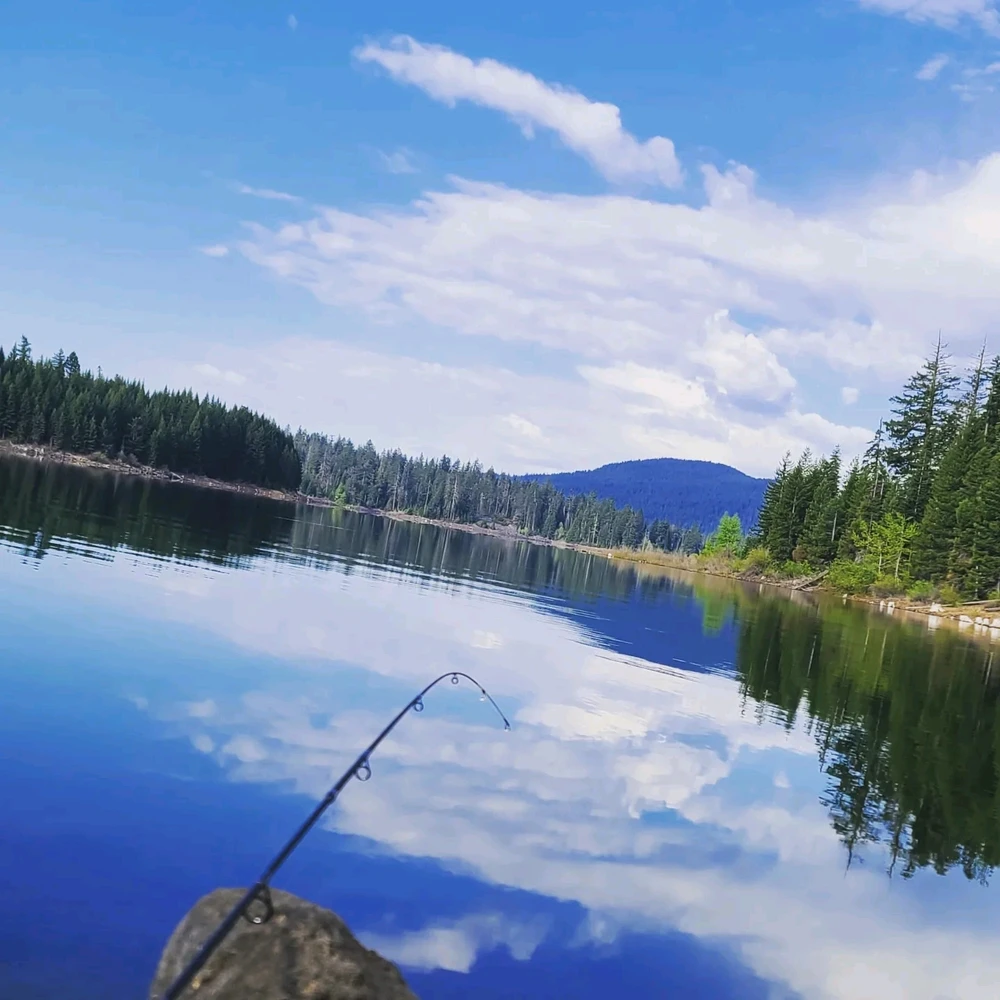 Image uploaded by Kevin