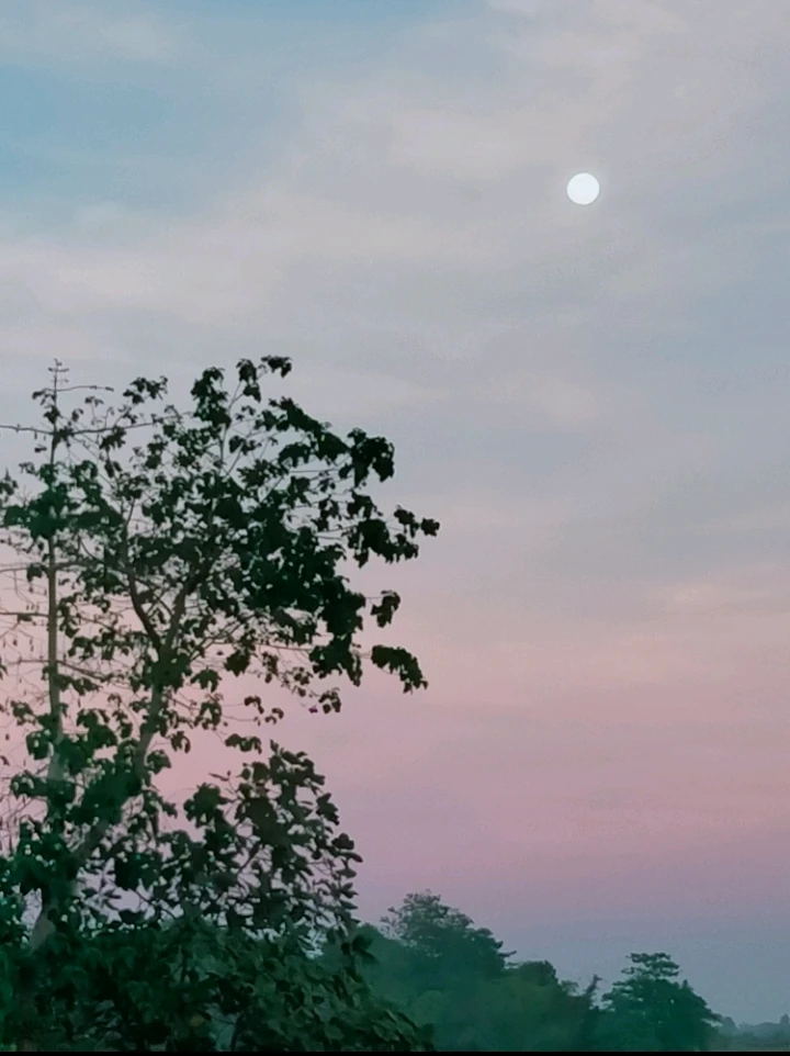 Nejaがアップロードした画像