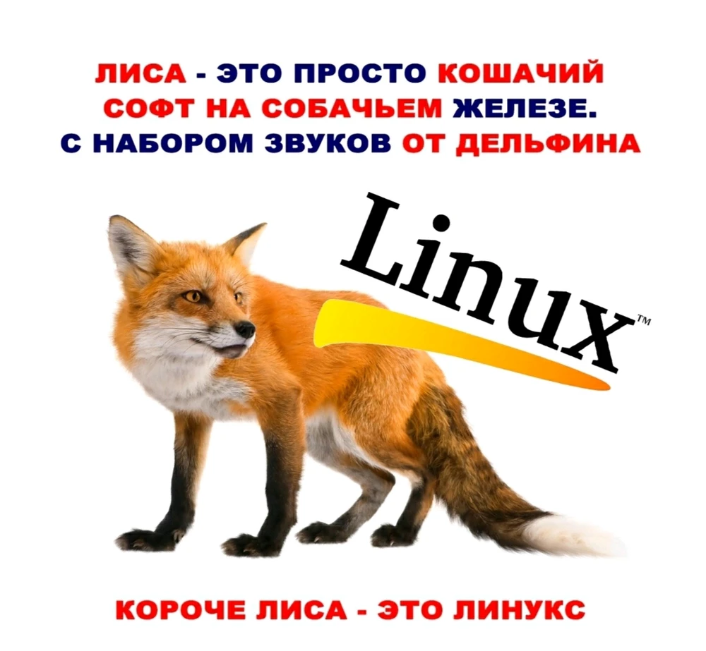 Фото загрузил Den