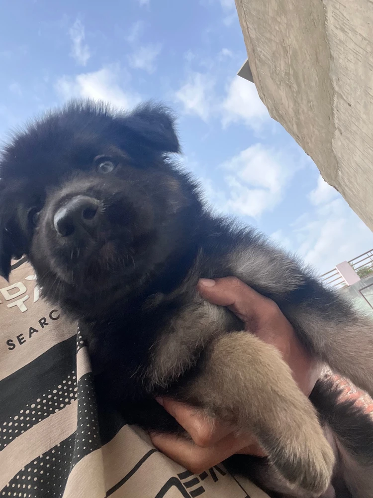 Image uploaded by Ritesh