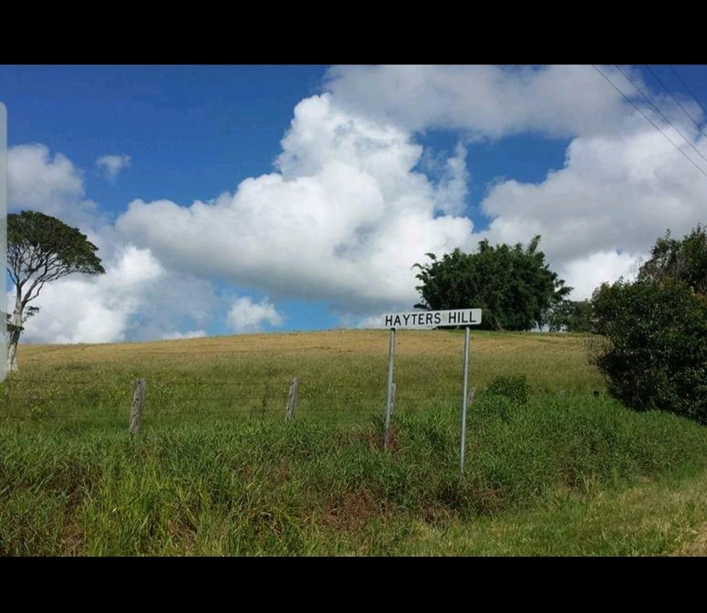 Image uploaded by Padraig