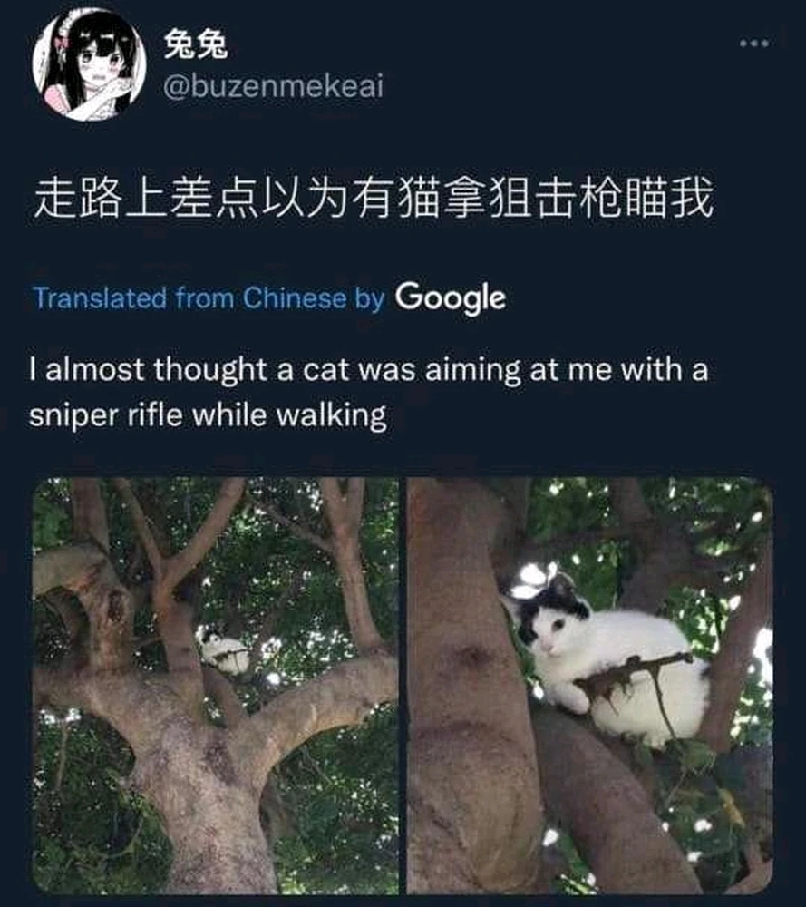 由Karthik上传的图片