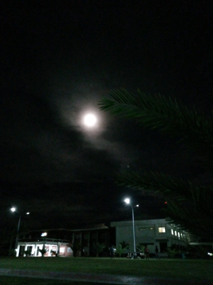 Image uploaded by Amaryllis