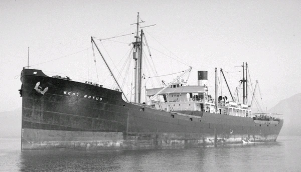 تصویر آپلود شده توسط Erik Thackrey